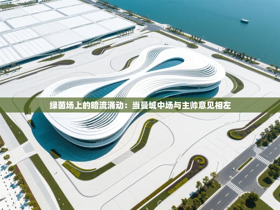 绿茵场上的暗流涌动：当曼城中场与主帅意见相左  第2张