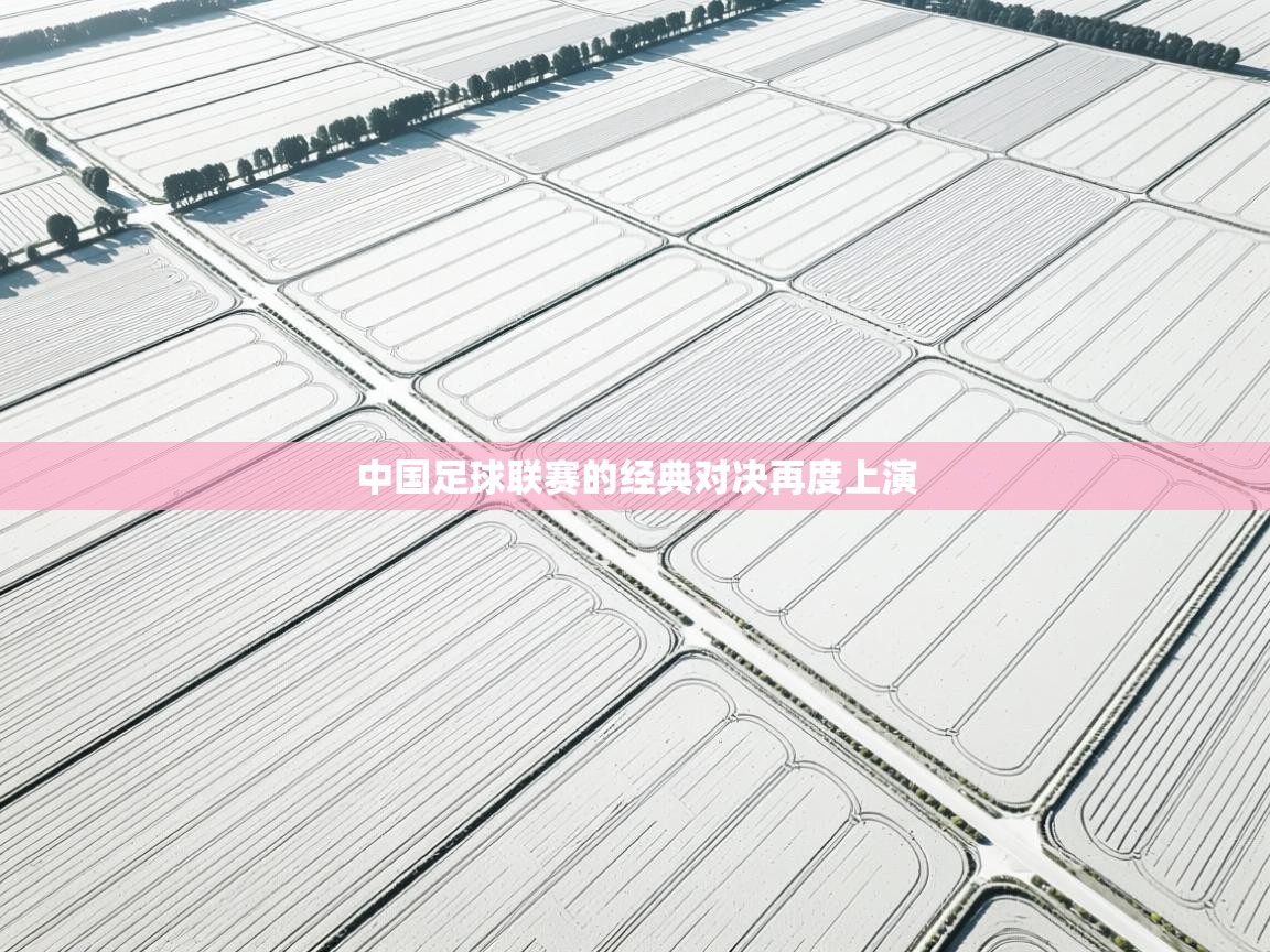 中国足球联赛的经典对决再度上演 第1张