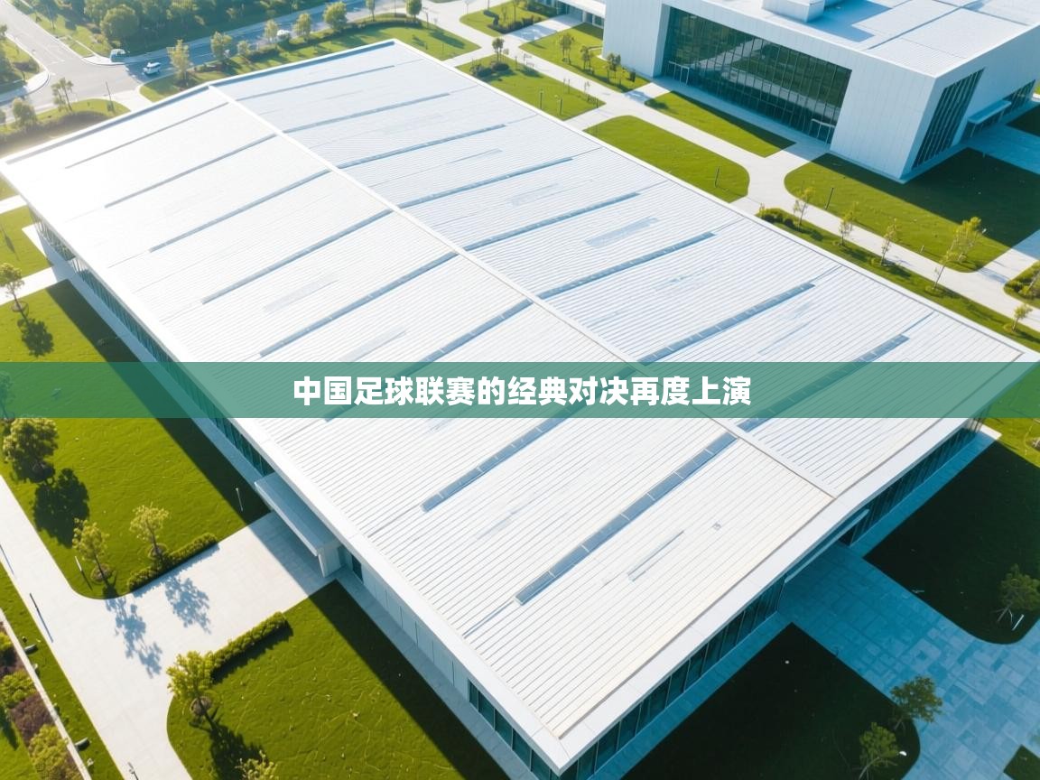 中国足球联赛的经典对决再度上演 第2张