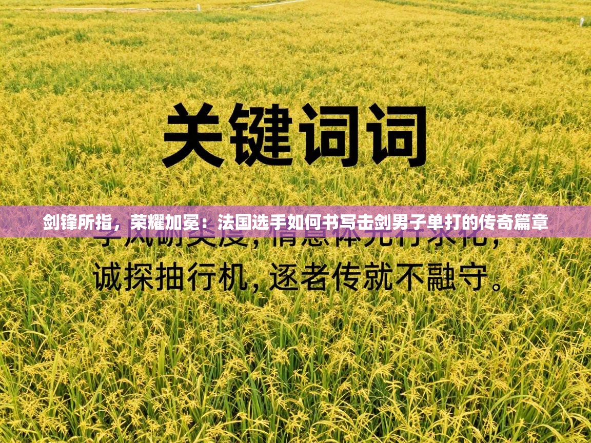 剑锋所指,荣耀加冕:法国选手如何书写击剑男子单打的传奇篇章 第1张